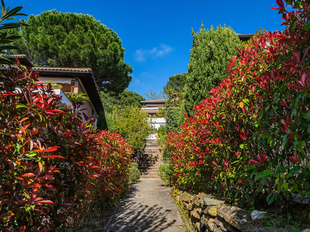Résidence Les Terrasses de Cavalière II