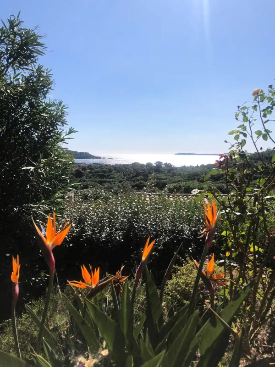Résidence Lou Chamanou - Maison Vue Mer, Piscine. Cavalière