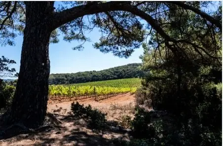 Résidence Plages De Cavaliere 1
