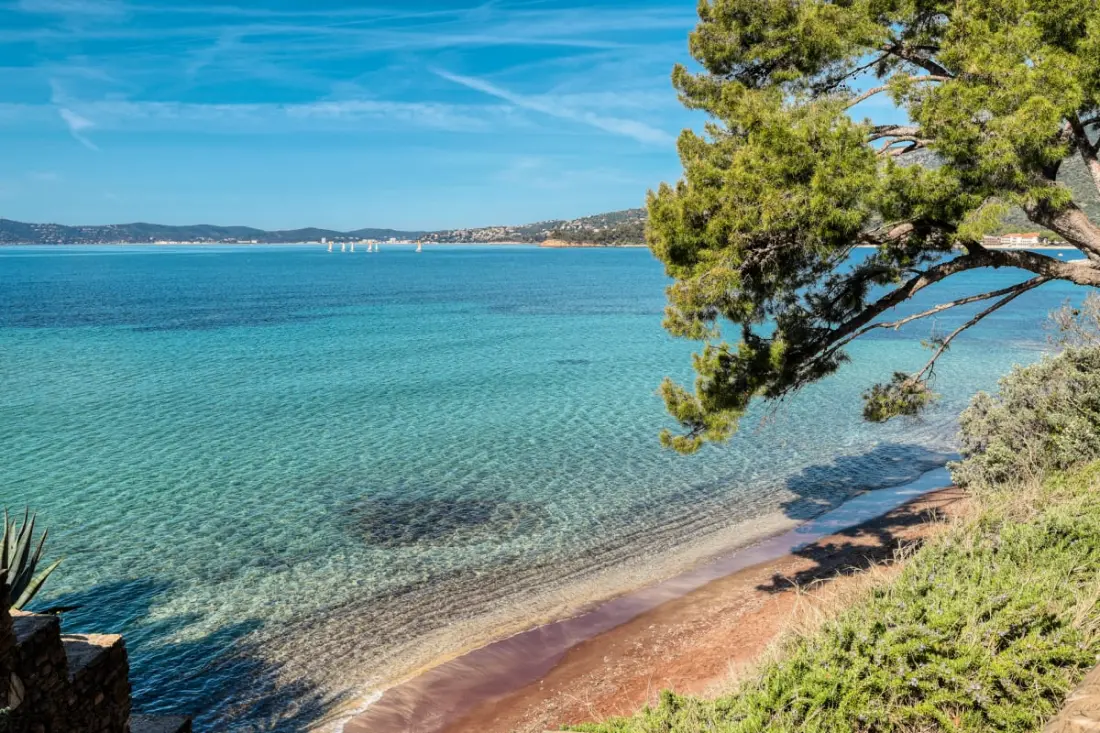 Résidence Un Jardin Au Bord De La Méditerranée