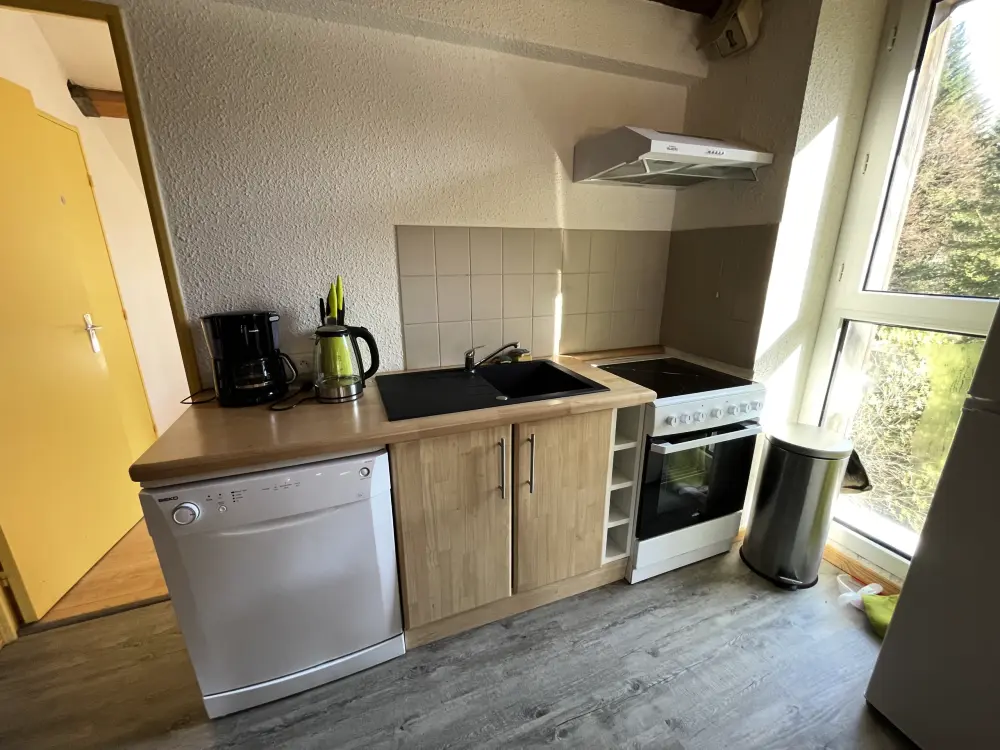 Appartements à Le Lioran