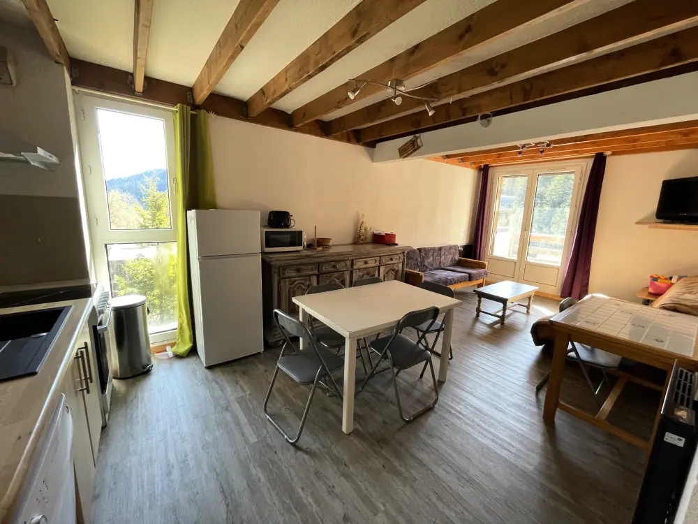 Appartements à Le Lioran