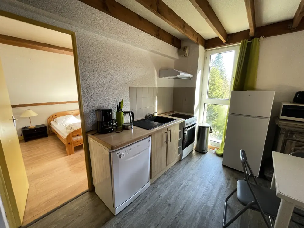 Appartements à Le Lioran