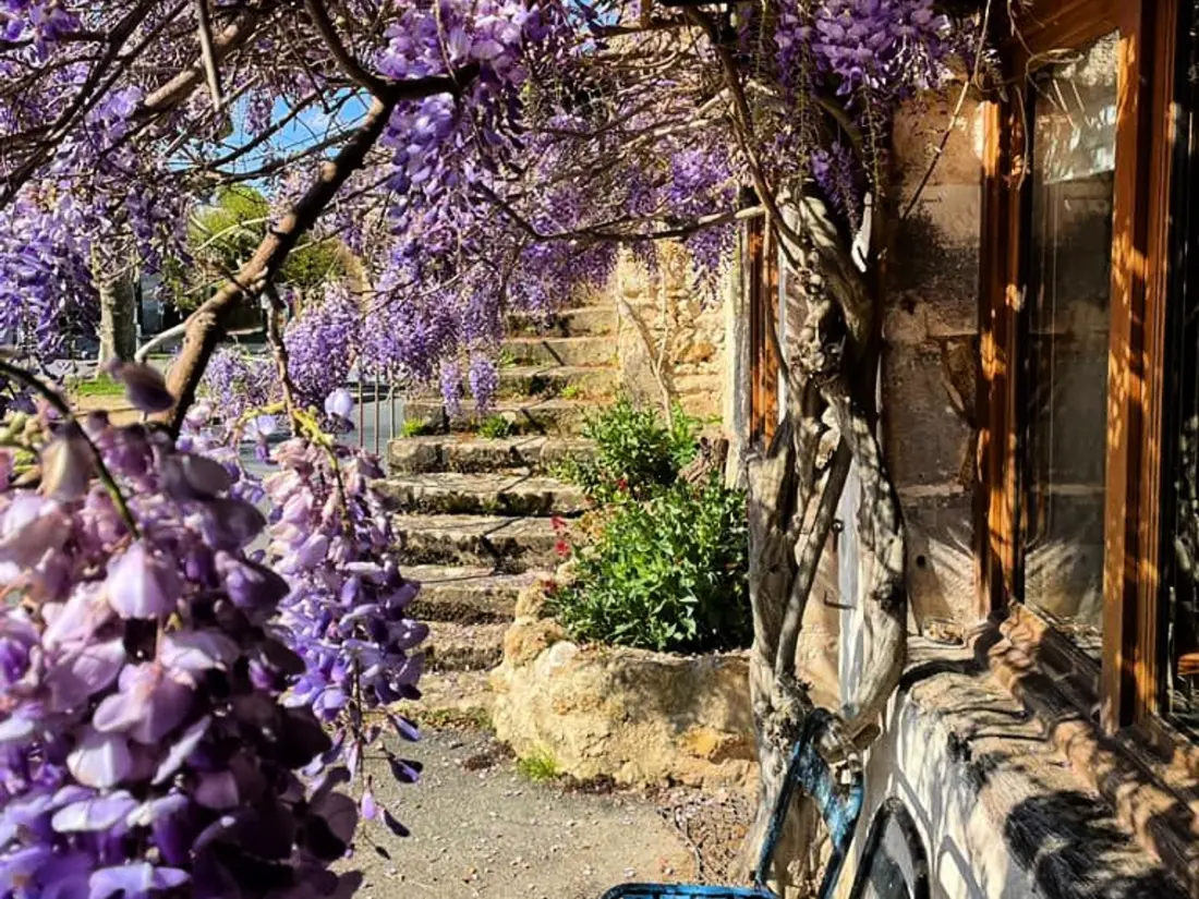 Maison de Vacances Le Menoux 3