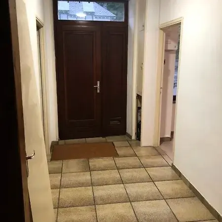 Les pâquerettes