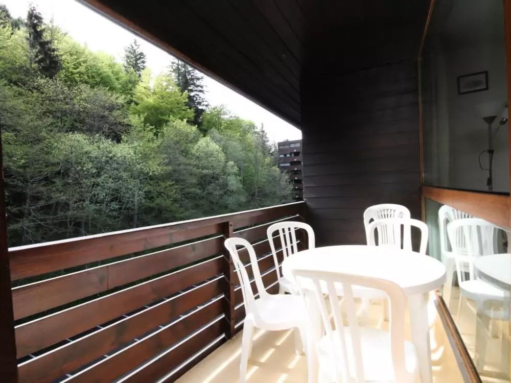 Location de Vacances Mont-Dore 105