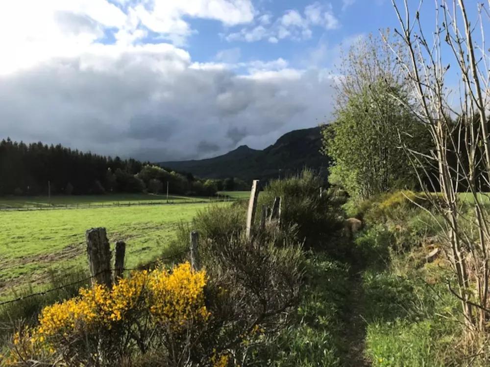 Location de Vacances Mont-Dore 119