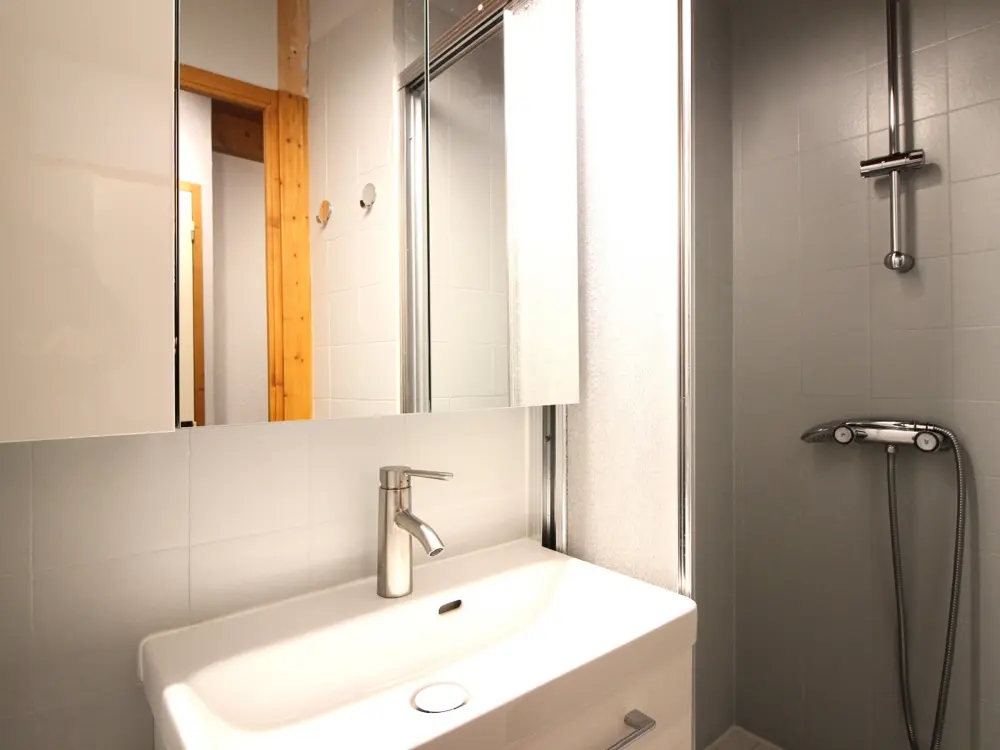 Location de Vacances Mont-Dore 139