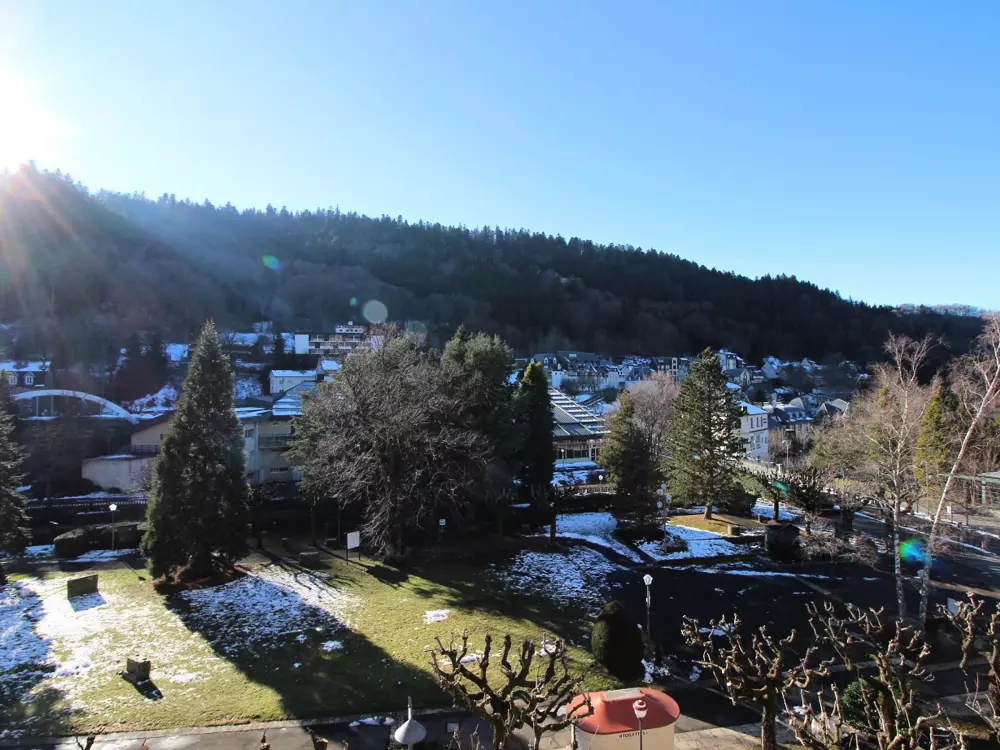 Location de Vacances Mont-Dore 161