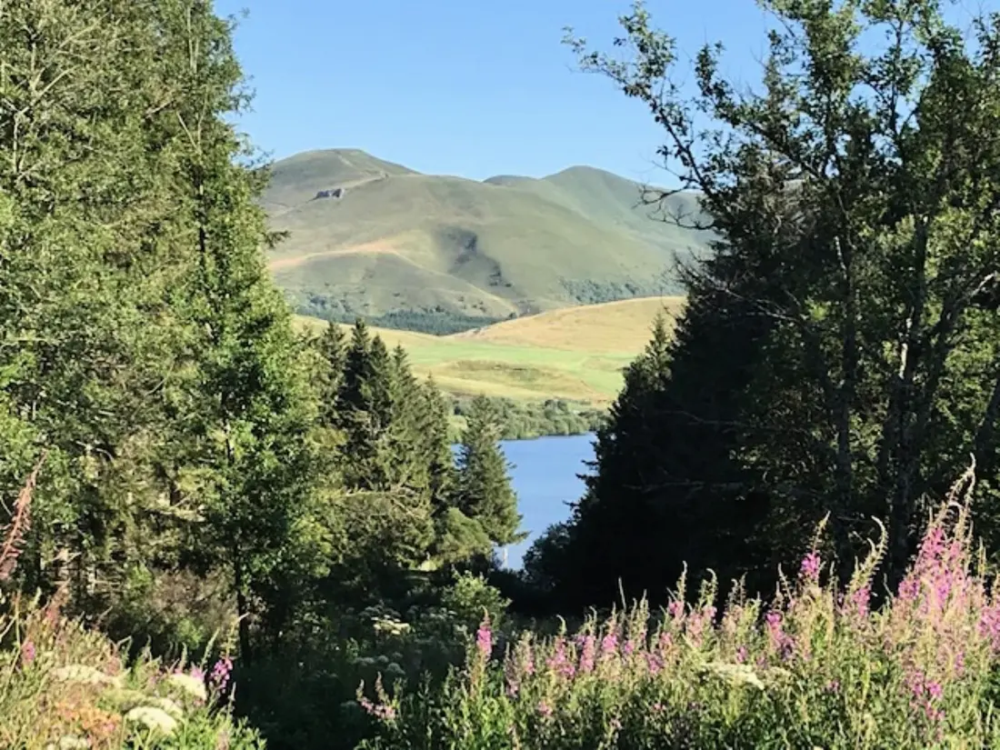 Location de Vacances Mont-Dore 171