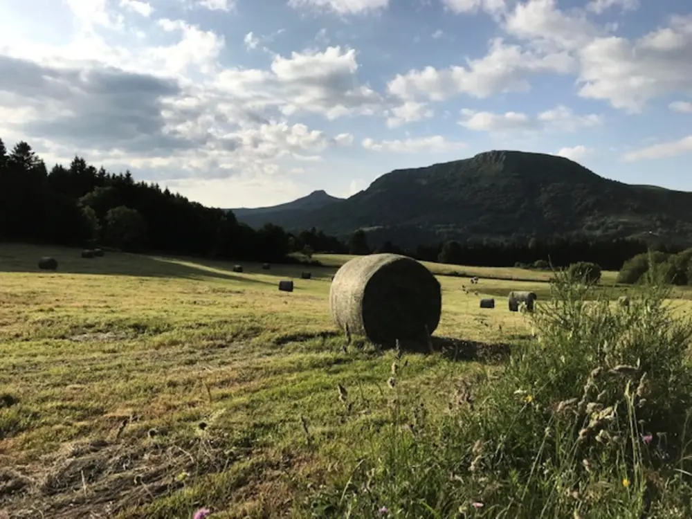Location de Vacances Mont-Dore 185