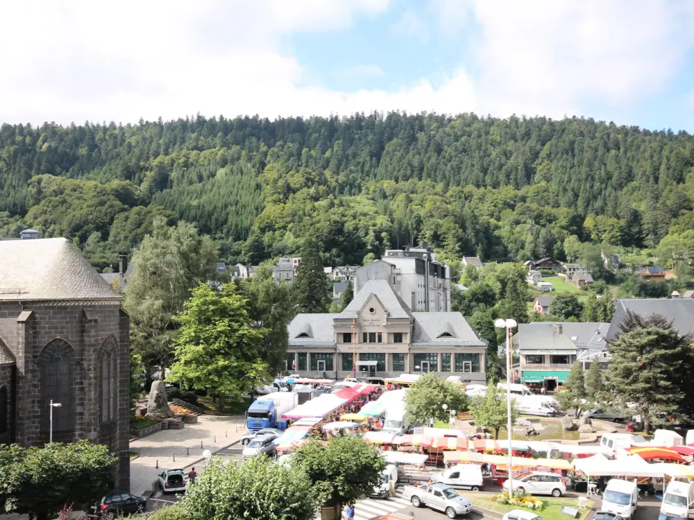 Location de Vacances Mont-Dore 185