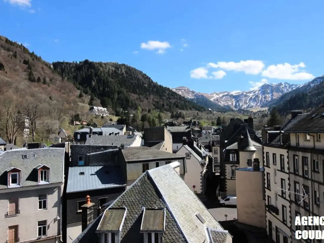 Location de Vacances Mont-Dore 213
