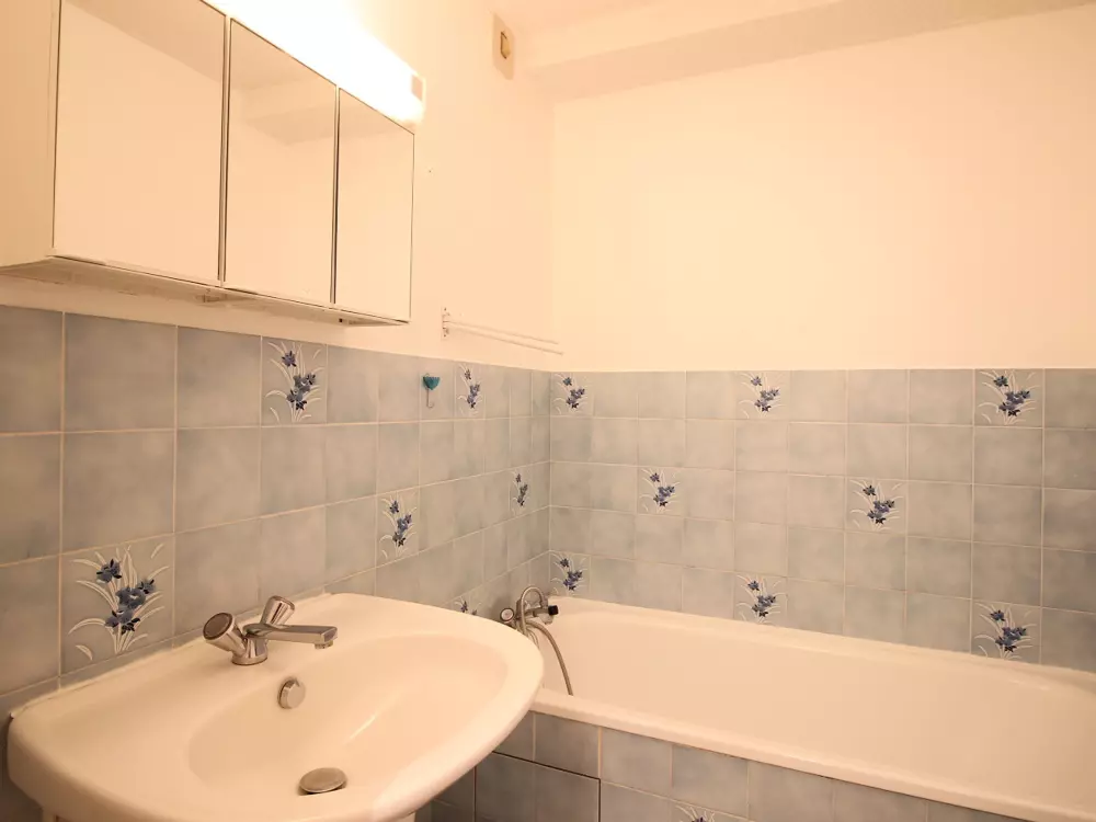 Location de Vacances Mont-Dore 234