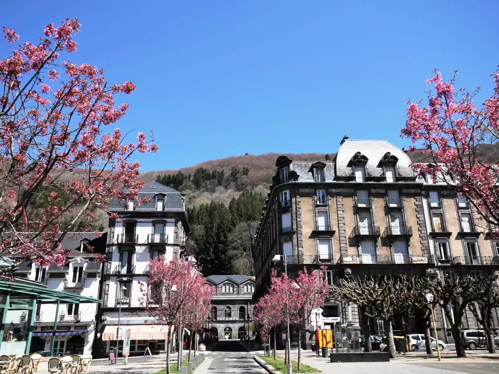 Location de Vacances Mont-Dore 235