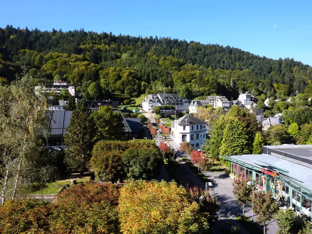 Location de Vacances Mont-Dore 238