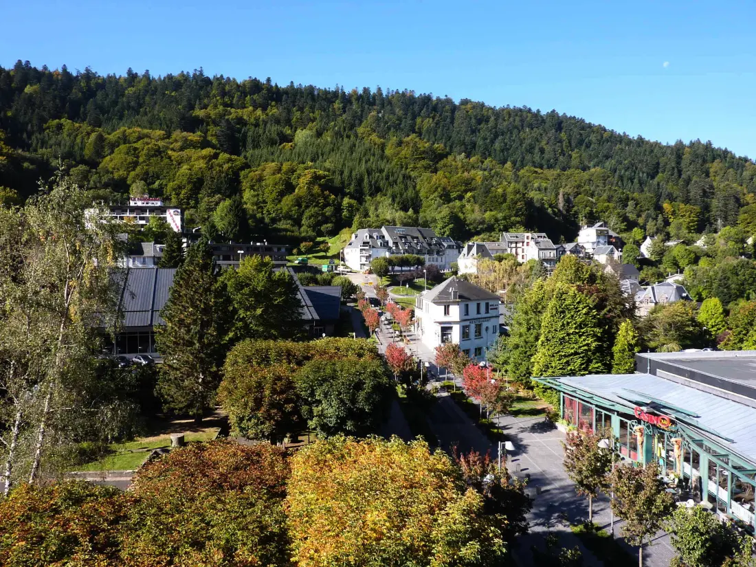 Location de Vacances Mont-Dore 238