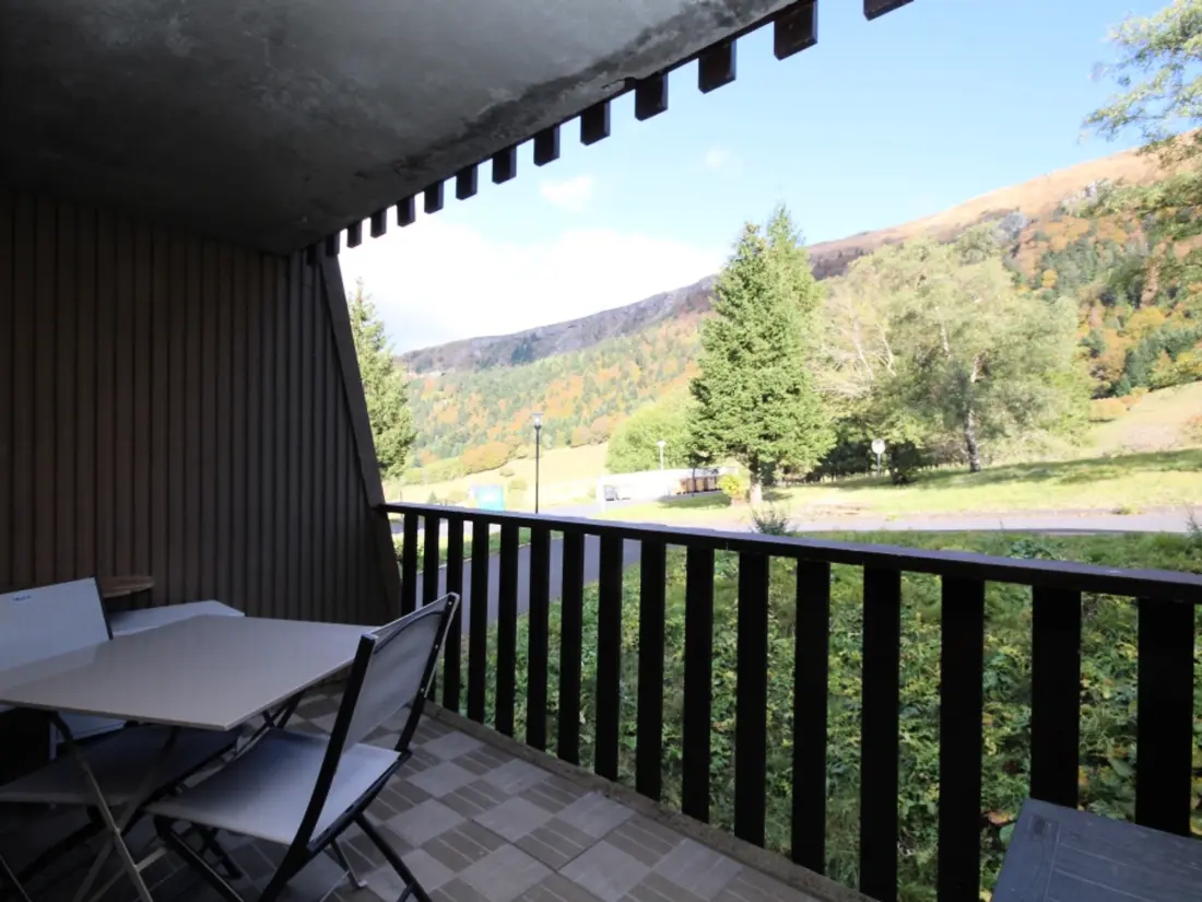 Location de Vacances Mont-Dore 240