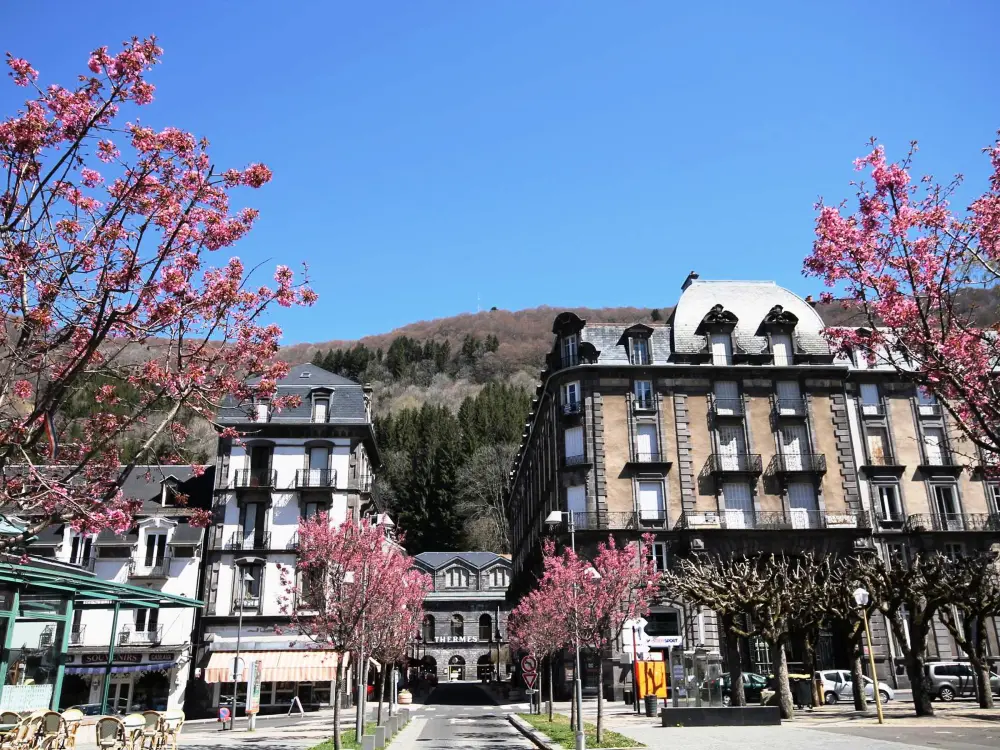 Location de Vacances Mont-Dore 242