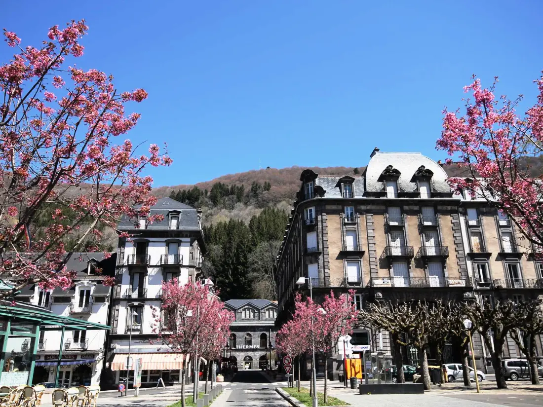 Location de Vacances Mont-Dore 242