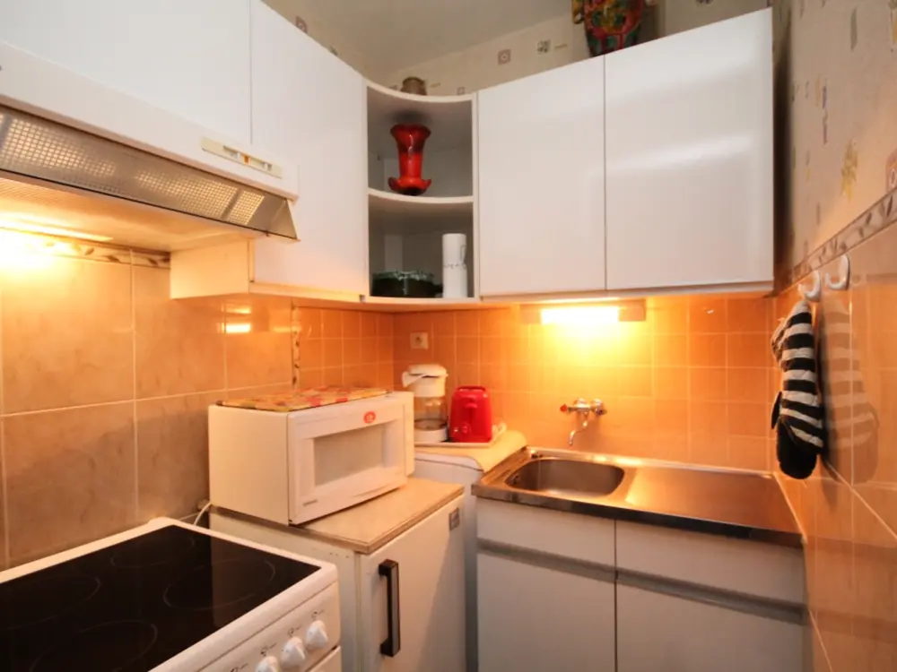 Location de Vacances Mont-Dore 251