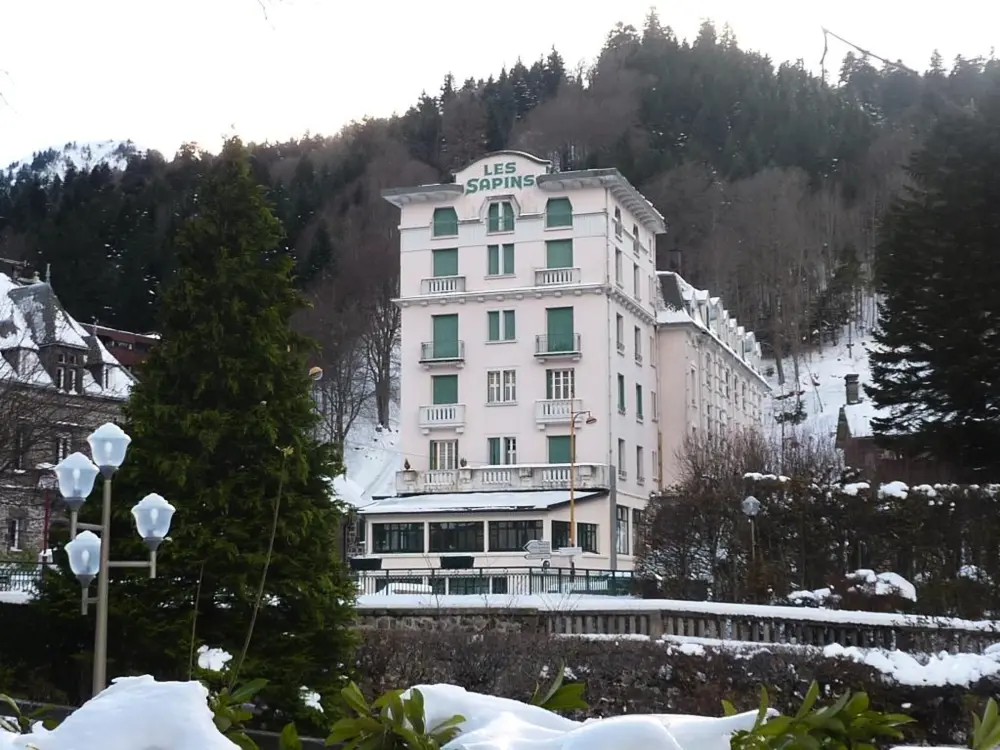 Location de Vacances Mont-Dore 289