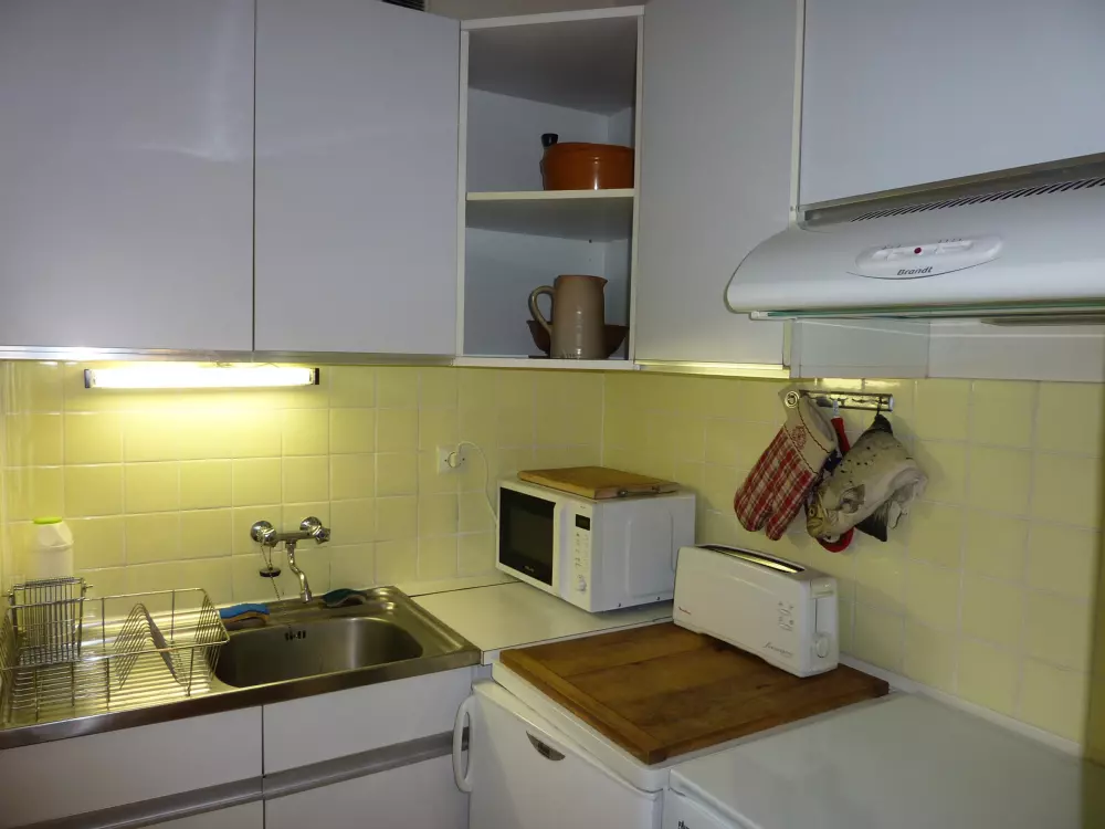 Location de Vacances Mont-Dore 300