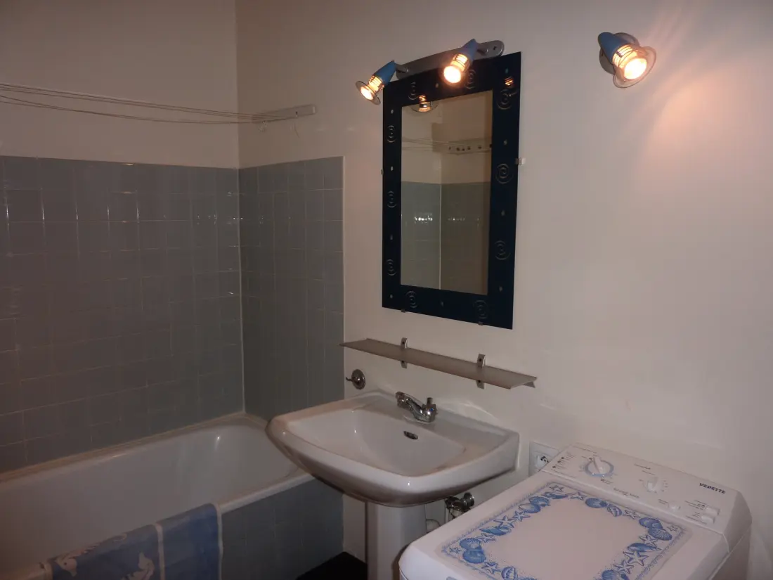 Location de Vacances Mont-Dore 300