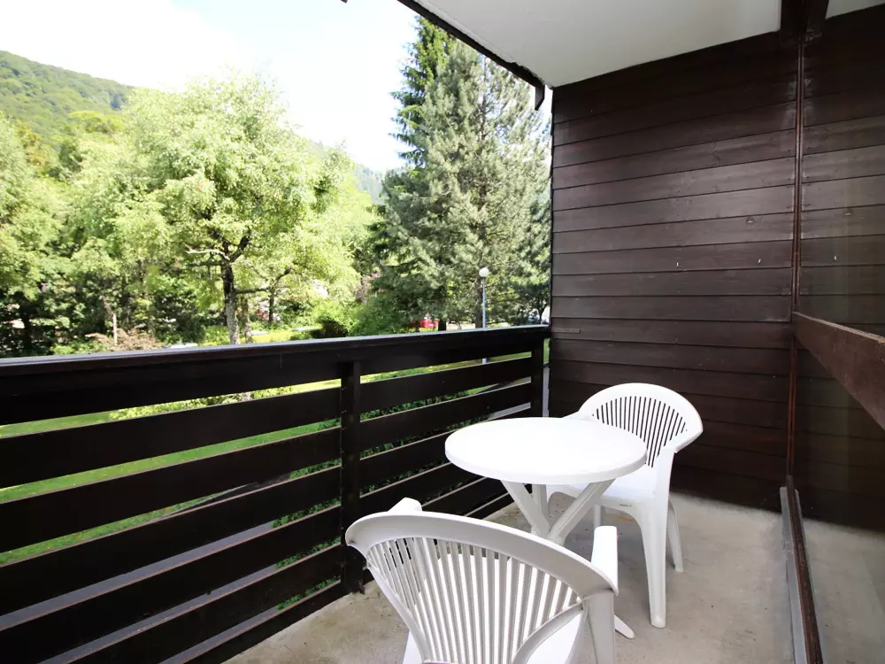 Location de Vacances Mont-Dore 301