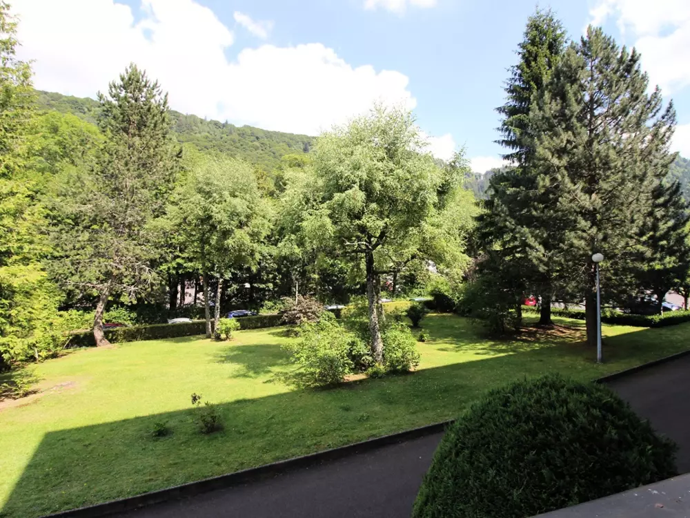 Location de Vacances Mont-Dore 301