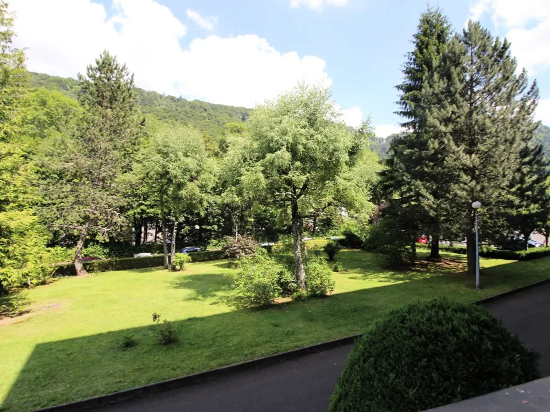 Location de Vacances Mont-Dore 301