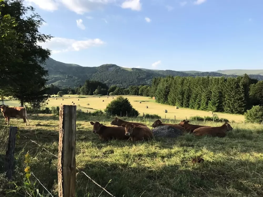 Location de Vacances Mont-Dore 301