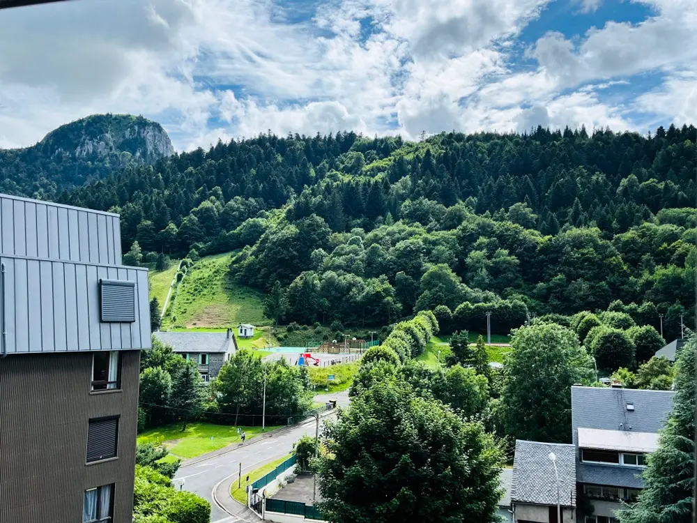 Location de Vacances Mont-Dore 334