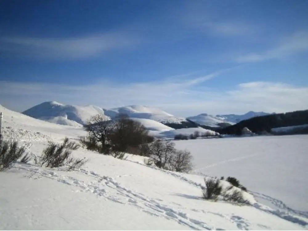 Location de Vacances Mont-Dore 337