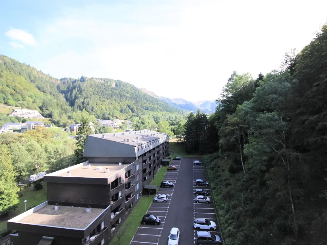 Location de Vacances Mont-Dore 337