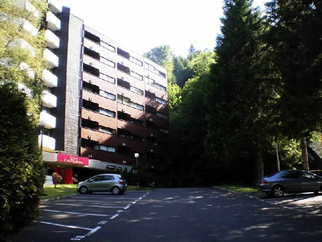 Location de Vacances Mont-Dore 337