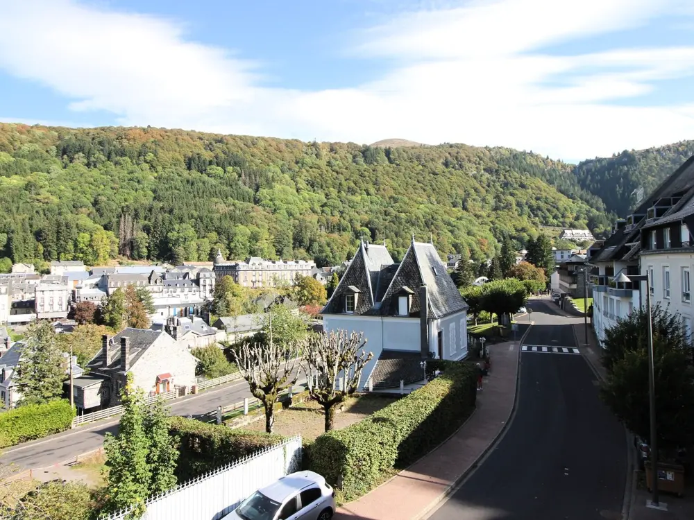 Location de Vacances Mont-Dore 338