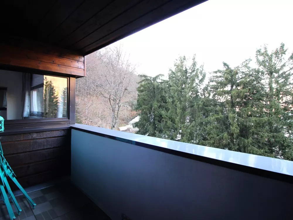 Location de Vacances Mont-Dore 348