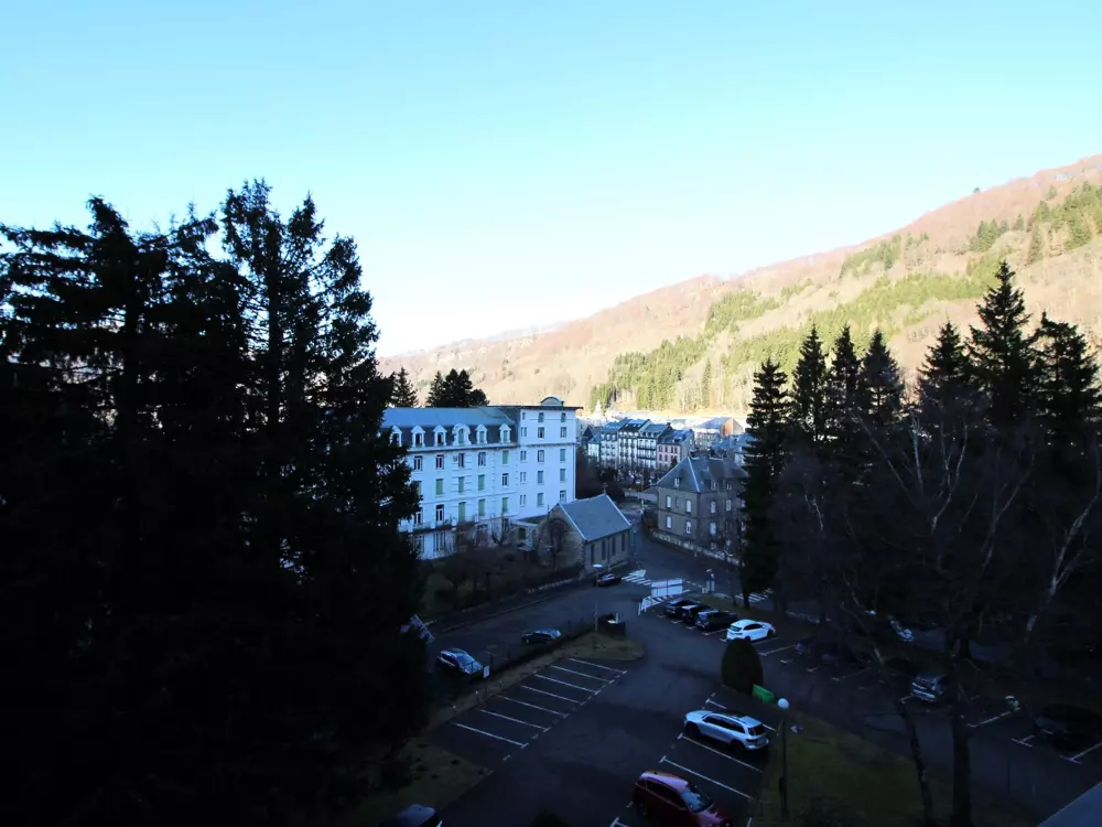 Location de Vacances Mont-Dore 348