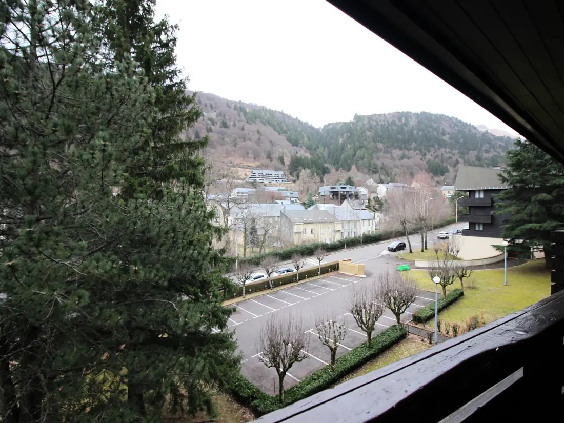Location de Vacances Mont-Dore 349