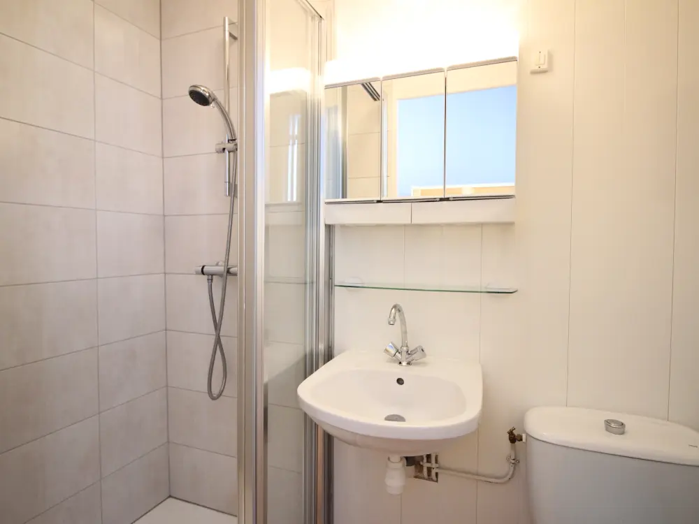 Location de Vacances Mont-Dore 380
