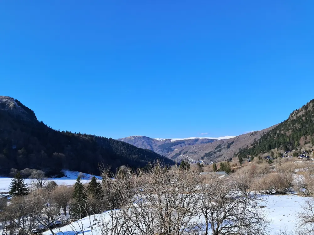 Location de Vacances Mont-Dore 381
