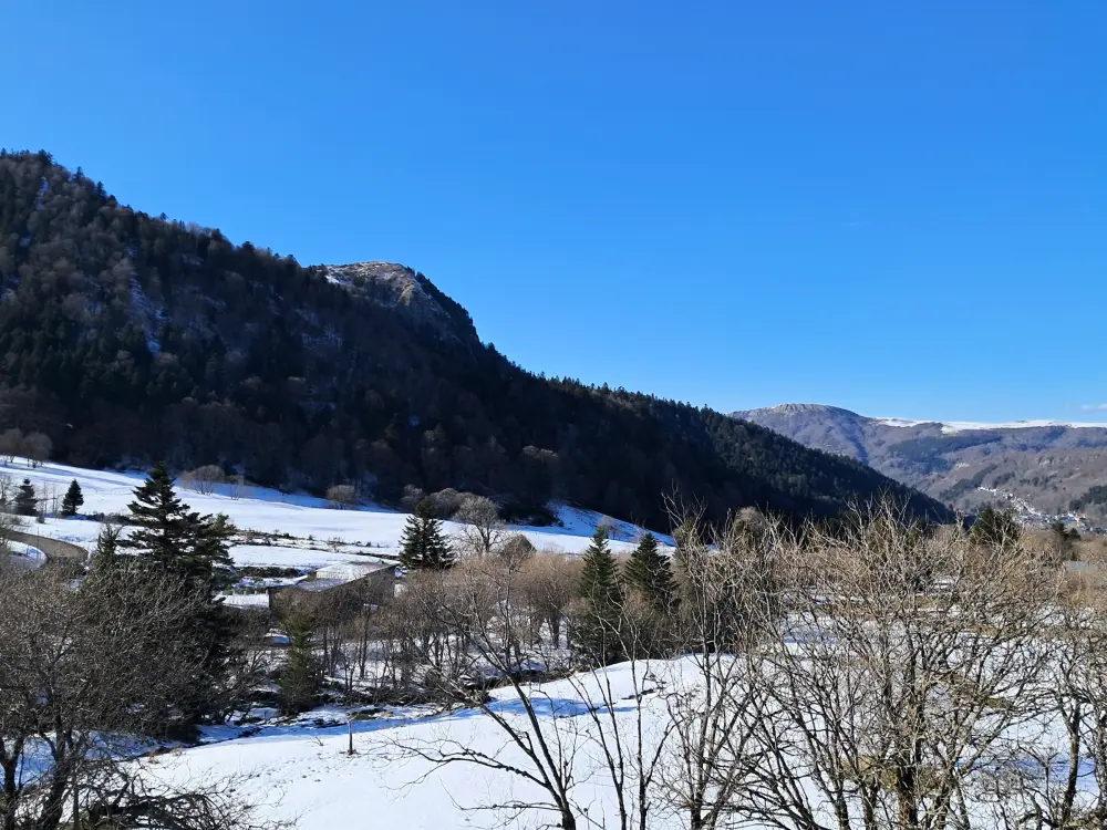 Location de Vacances Mont-Dore 381