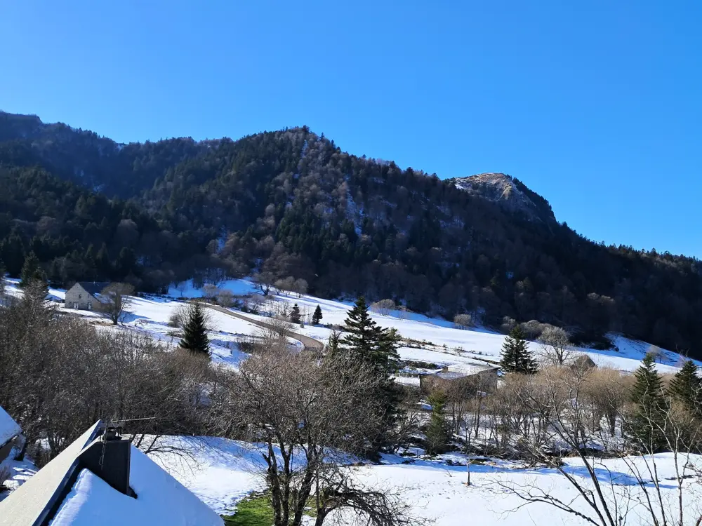 Location de Vacances Mont-Dore 381