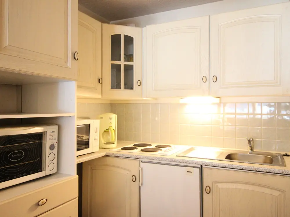 Location de Vacances Mont-Dore 381