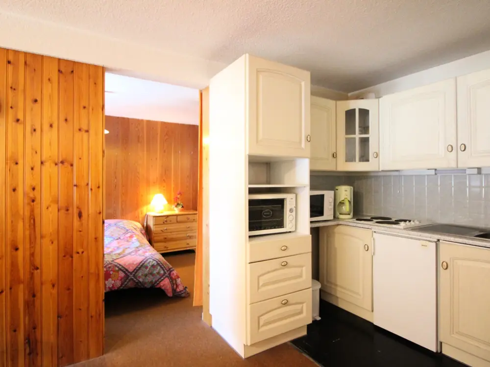 Location de Vacances Mont-Dore 381