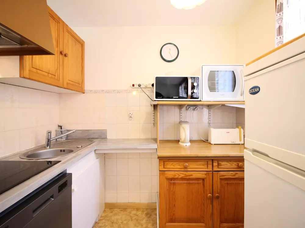 Location de Vacances Mont-Dore 385