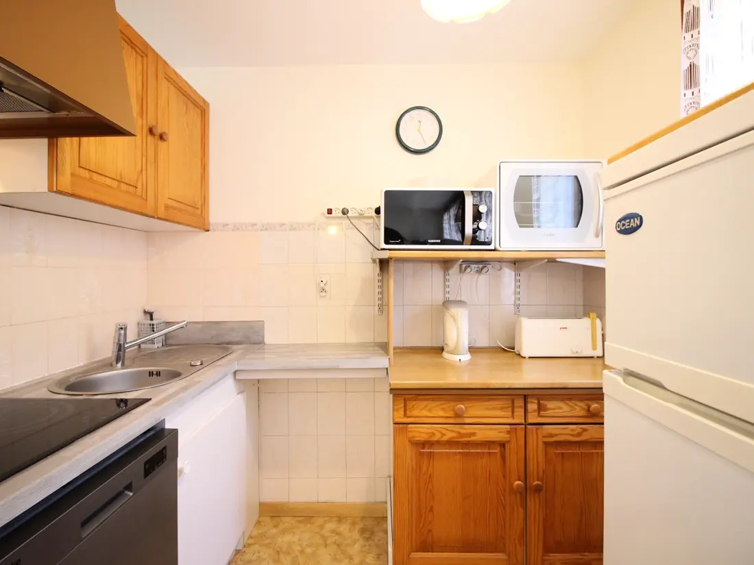 Location de Vacances Mont-Dore 385