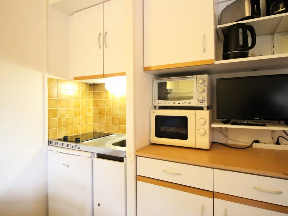 Location de Vacances Mont-Dore 387