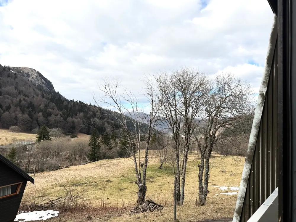 Location de Vacances Mont-Dore 388